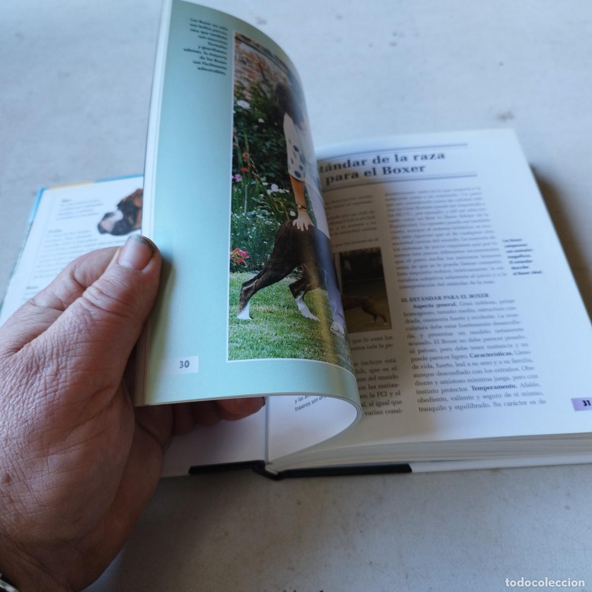 Libros de segunda mano: BOXER / / GRAVOL 50 / HISPANO EUROPEA - Foto 13
