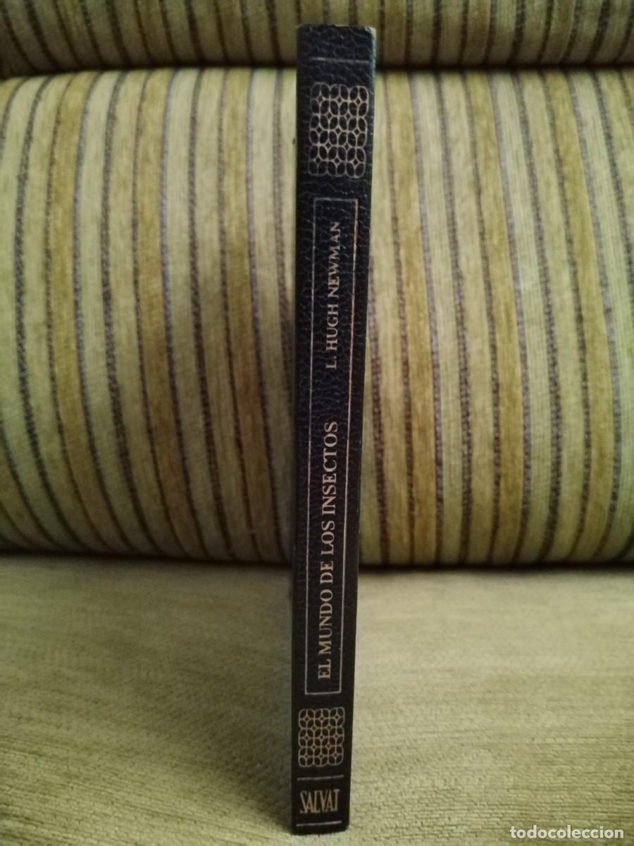Libros de segunda mano: EL MUNDO DE LOS INSECTOS - Foto 2