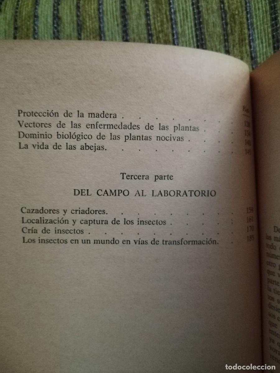 Libros de segunda mano: EL MUNDO DE LOS INSECTOS - Foto 7
