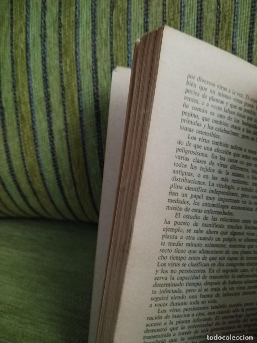 Libros de segunda mano: EL MUNDO DE LOS INSECTOS - Foto 10