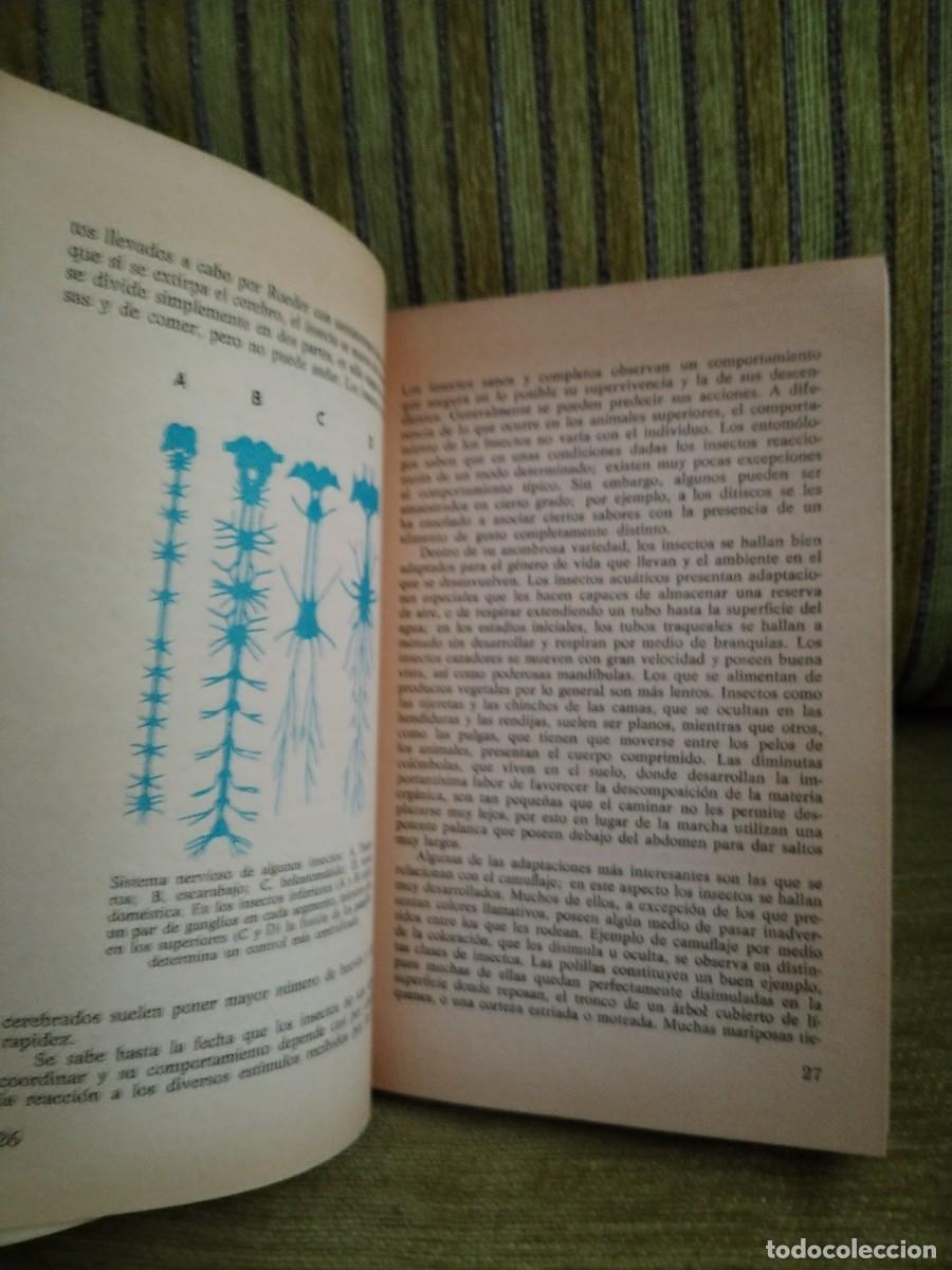 Libros de segunda mano: EL MUNDO DE LOS INSECTOS - Foto 11