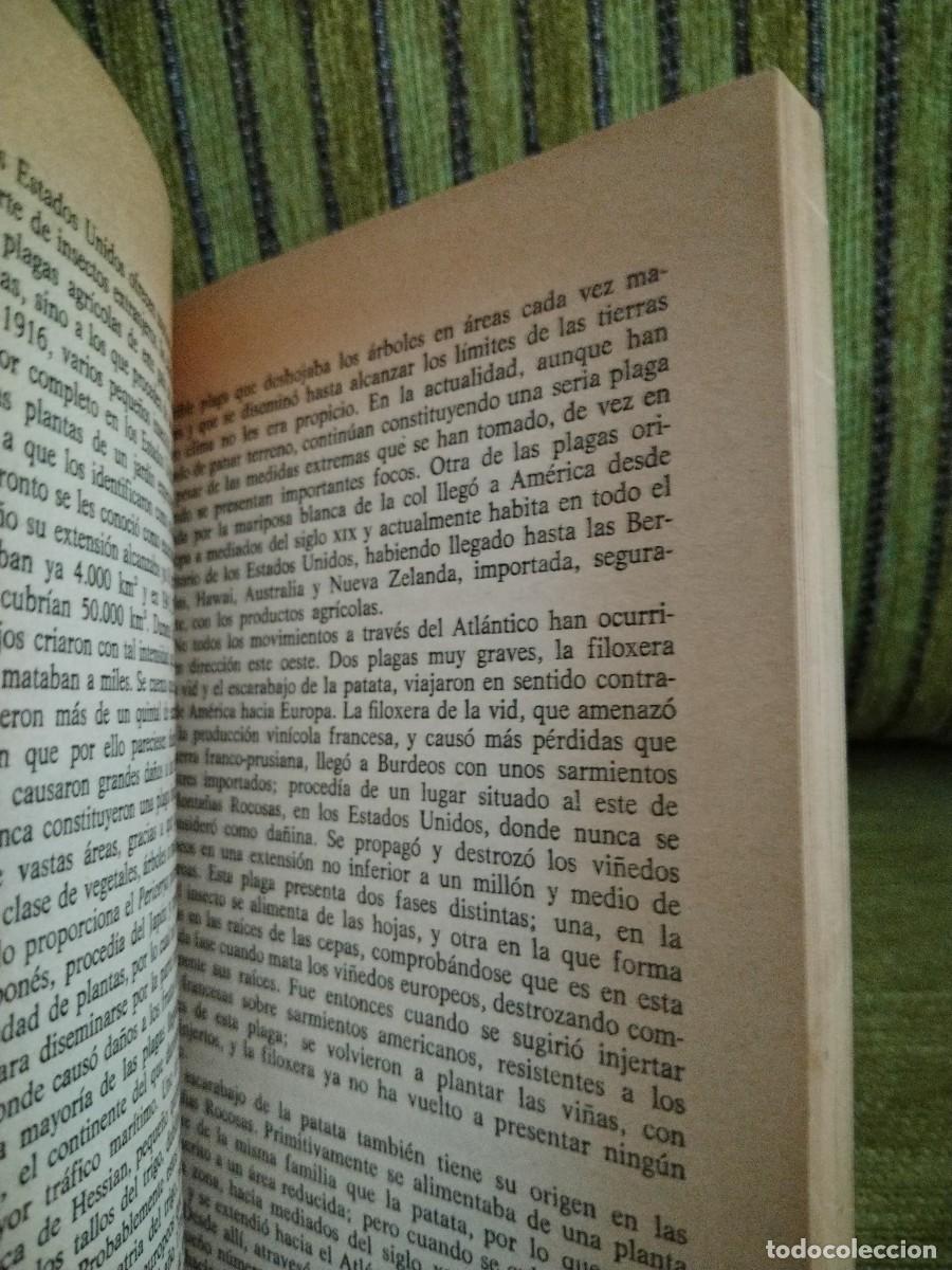 Libros de segunda mano: EL MUNDO DE LOS INSECTOS - Foto 12
