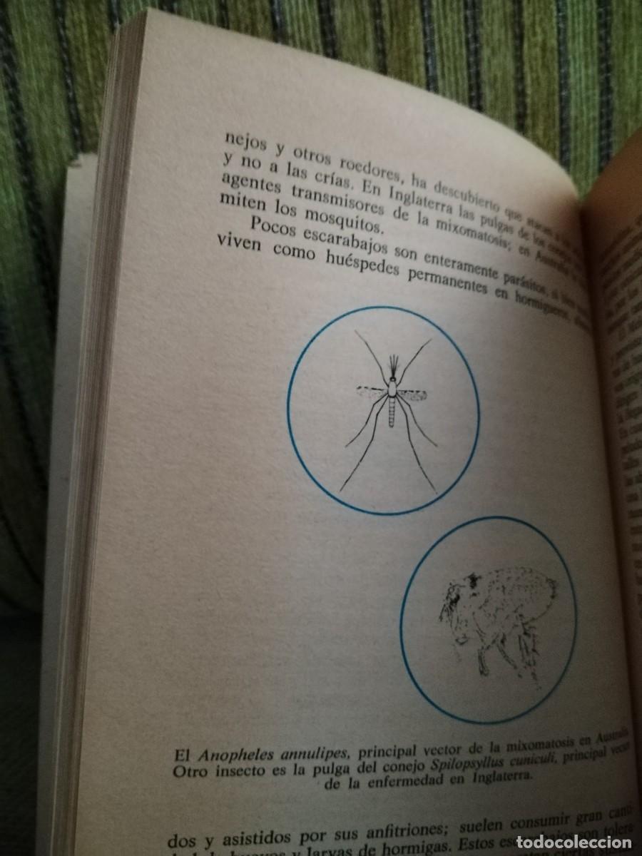 Libros de segunda mano: EL MUNDO DE LOS INSECTOS - Foto 13