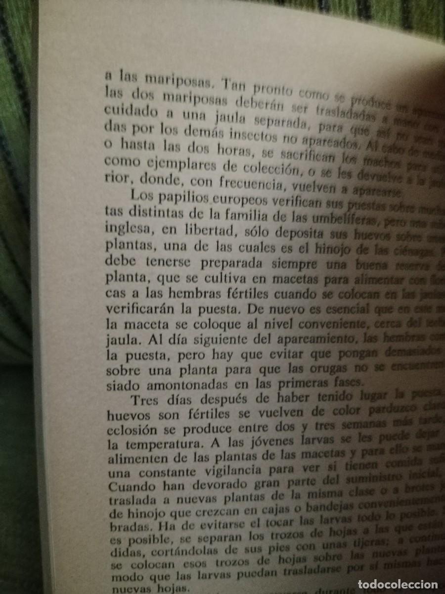 Libros de segunda mano: EL MUNDO DE LOS INSECTOS - Foto 14