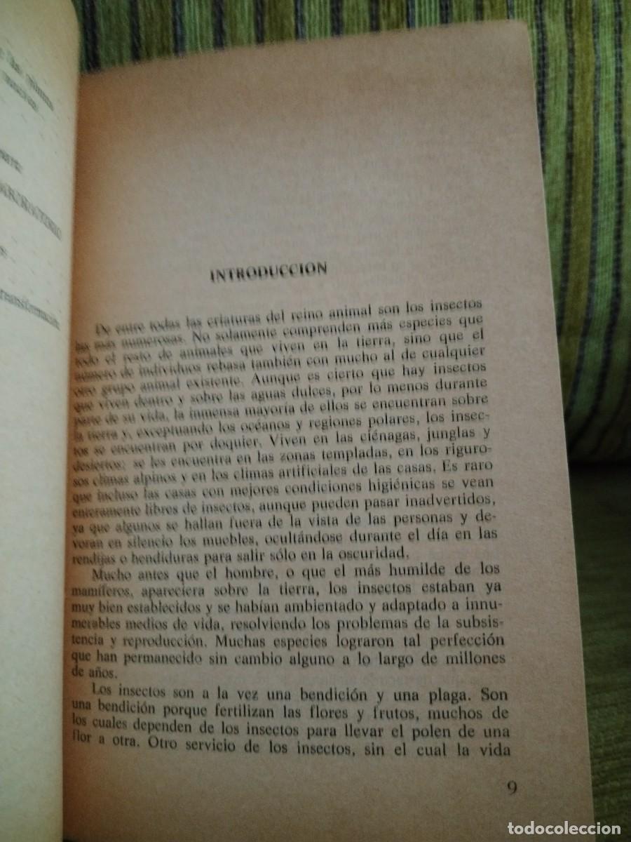 Libros de segunda mano: EL MUNDO DE LOS INSECTOS - Foto 15