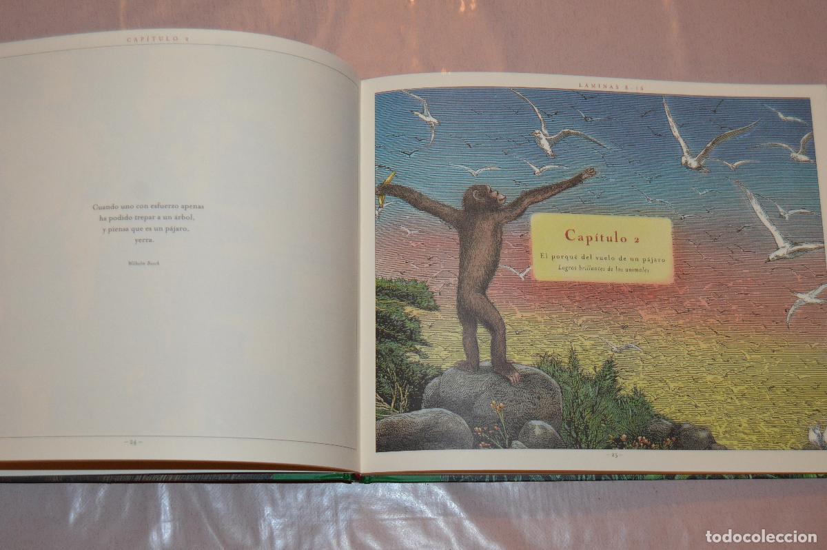 Libros de segunda mano: EL GRAN LIBRO DE LOS ANIMALES - WIESNER/MATTEI - EDAF - Foto 2