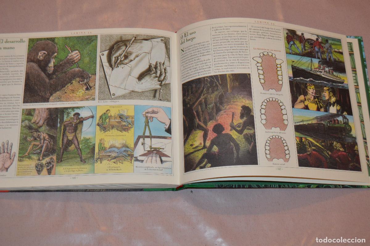 Libros de segunda mano: EL GRAN LIBRO DE LOS ANIMALES - WIESNER/MATTEI - EDAF - Foto 5