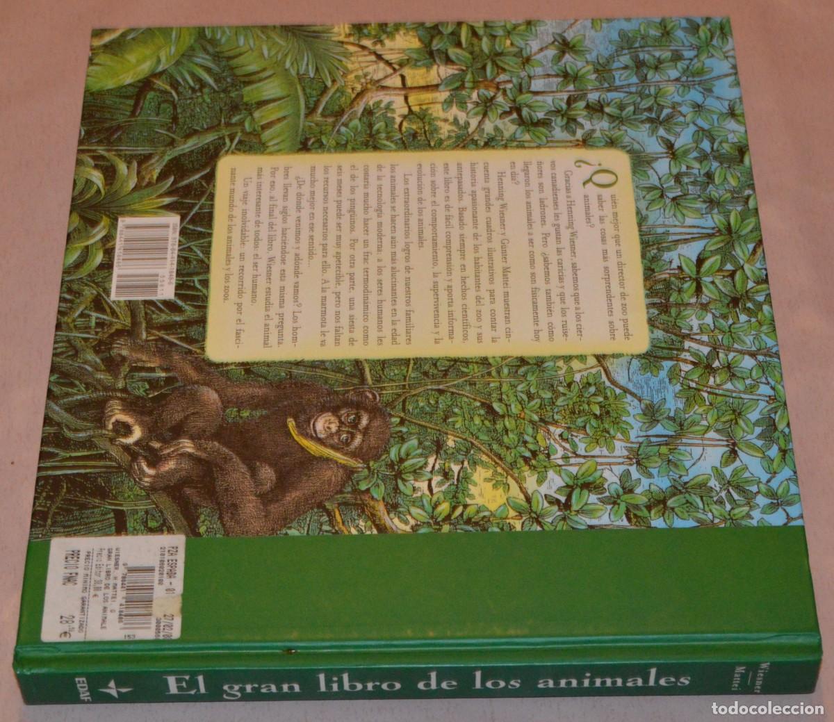 Libros de segunda mano: EL GRAN LIBRO DE LOS ANIMALES - WIESNER/MATTEI - EDAF - Foto 6