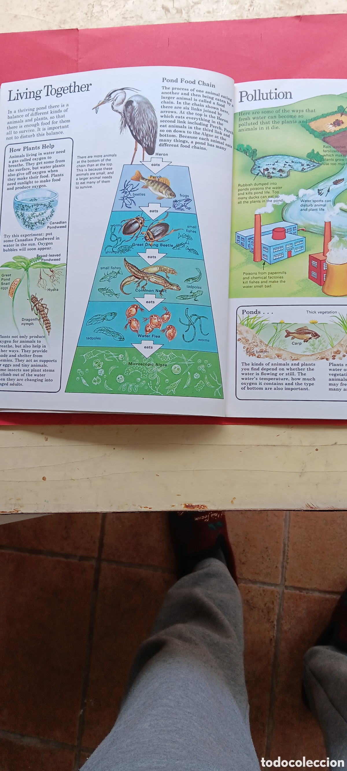 Libros de segunda mano: NATURE TRAILBBOOKS .PONDE&STREAMS.EN INGL&Eacute;S - Foto 3