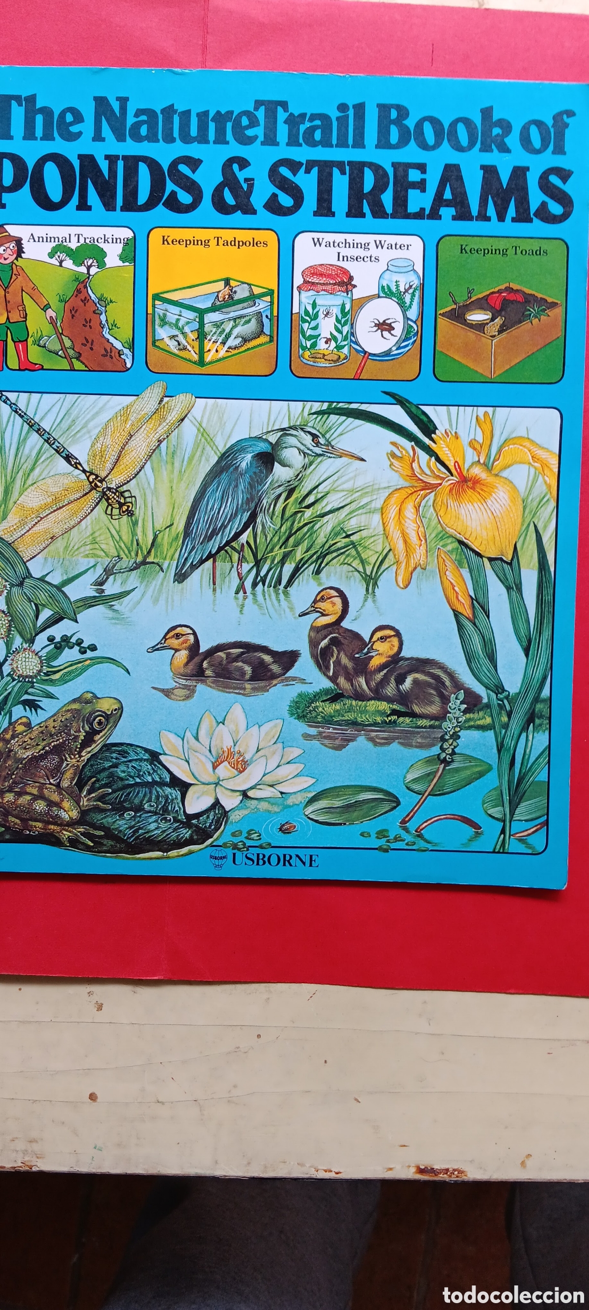 Libros de segunda mano: NATURE TRAILBBOOKS .PONDE&STREAMS.EN INGL&Eacute;S - Foto 1
