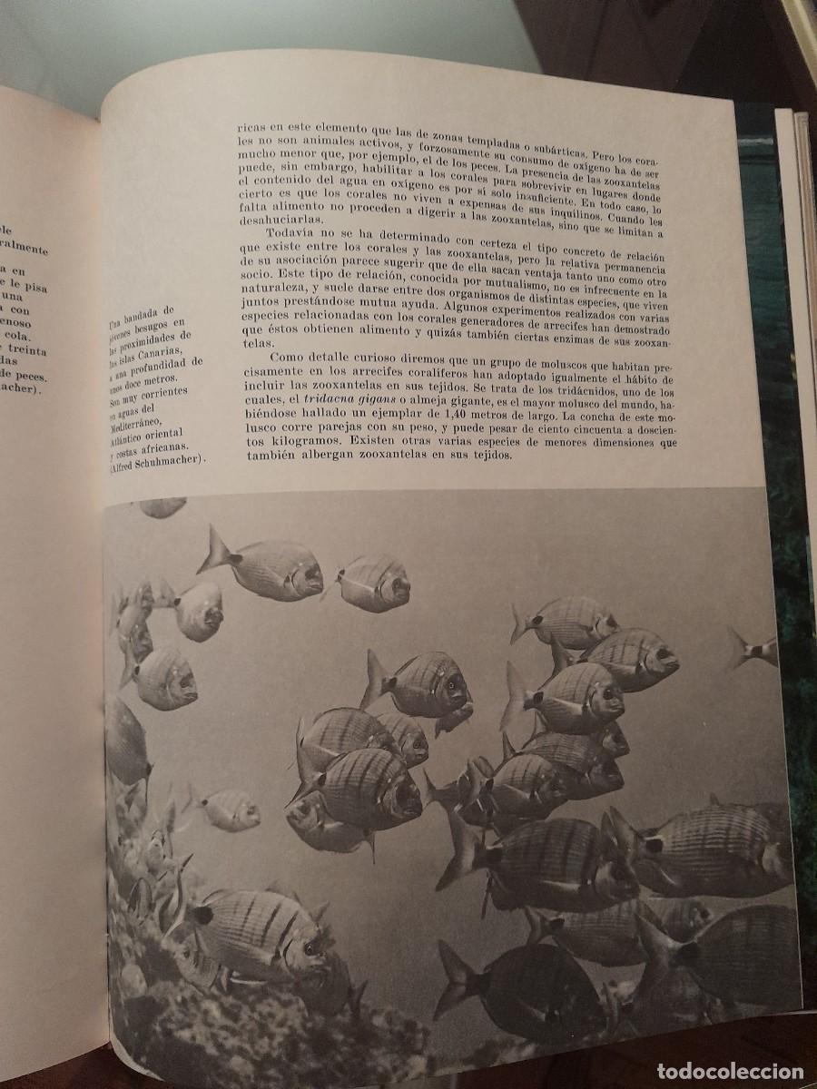Libros de segunda mano: El Mar, de Robert C. Miller - Foto 7