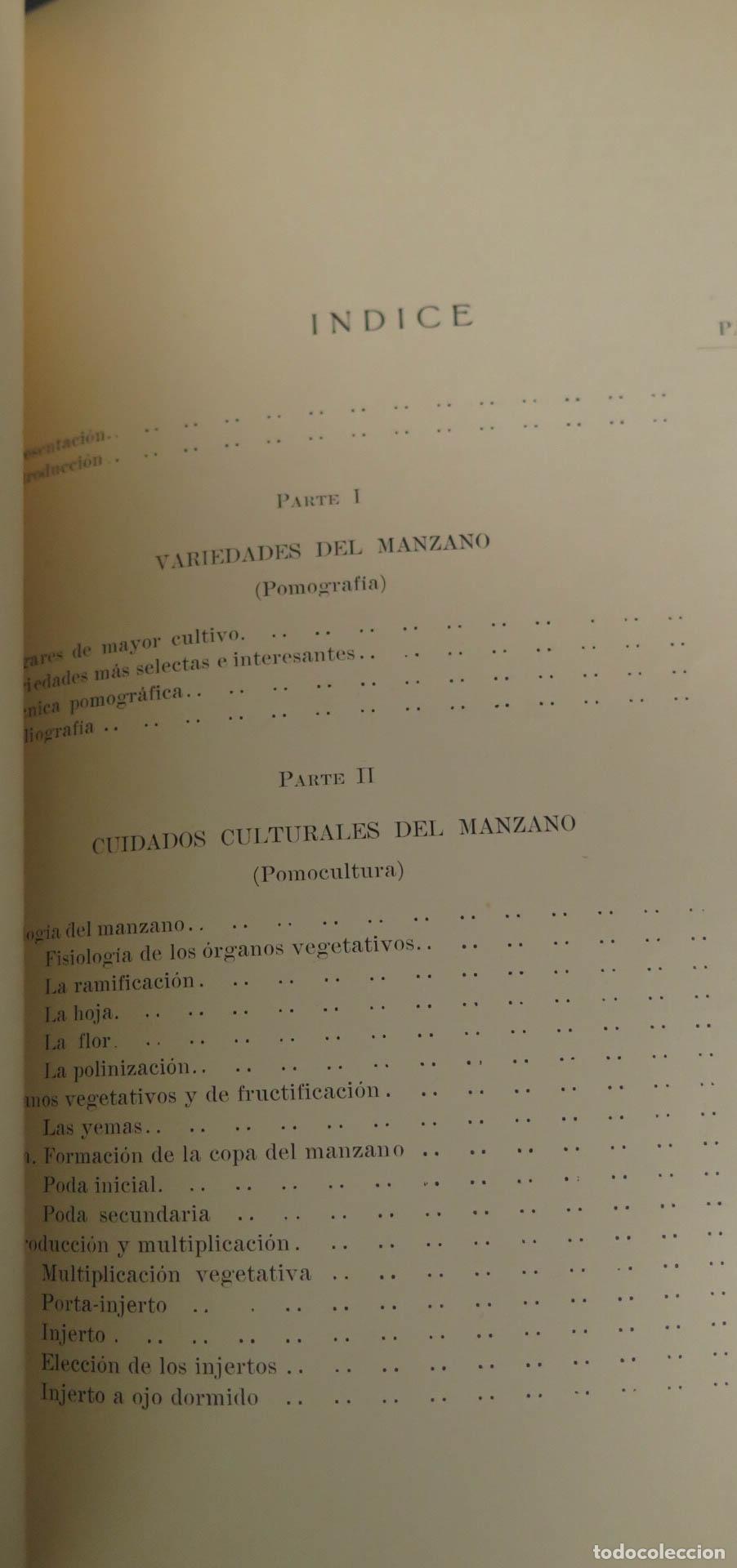 Libros de segunda mano: EL MANZANO EN SANTANDER - EMILIO GUINEA - Foto 2