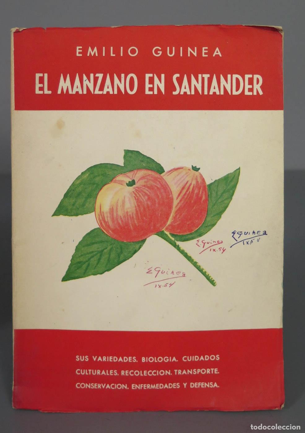 Libros de segunda mano: EL MANZANO EN SANTANDER - EMILIO GUINEA - Foto 1