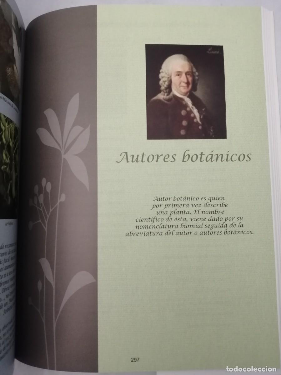 Libros de segunda mano: Getafe arbolado (Primera edici&oacute;n, COMO NUEVO) - Foto 3