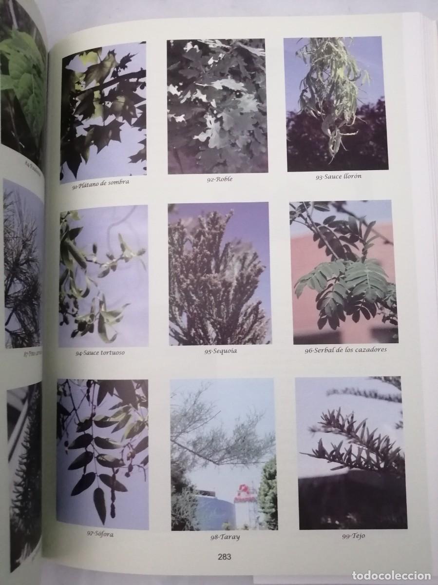 Libros de segunda mano: Getafe arbolado (Primera edici&oacute;n, COMO NUEVO) - Foto 4