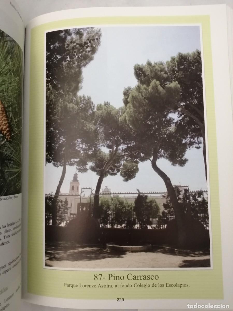 Libros de segunda mano: Getafe arbolado (Primera edici&oacute;n, COMO NUEVO) - Foto 5