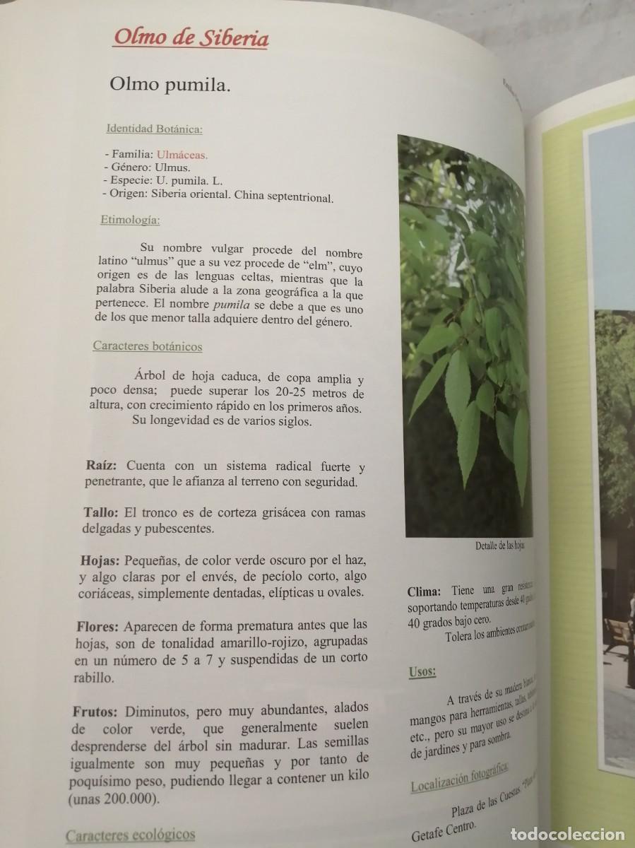 Libros de segunda mano: Getafe arbolado (Primera edici&oacute;n, COMO NUEVO) - Foto 7