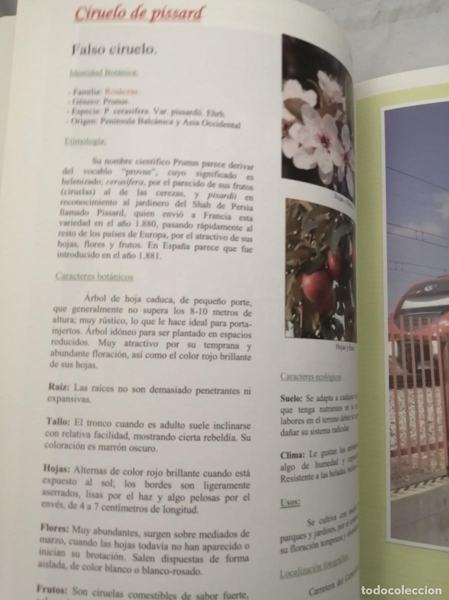 Libros de segunda mano: Getafe arbolado (Primera edici&oacute;n, COMO NUEVO) - Foto 8