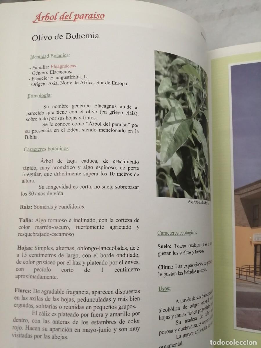 Libros de segunda mano: Getafe arbolado (Primera edici&oacute;n, COMO NUEVO) - Foto 11