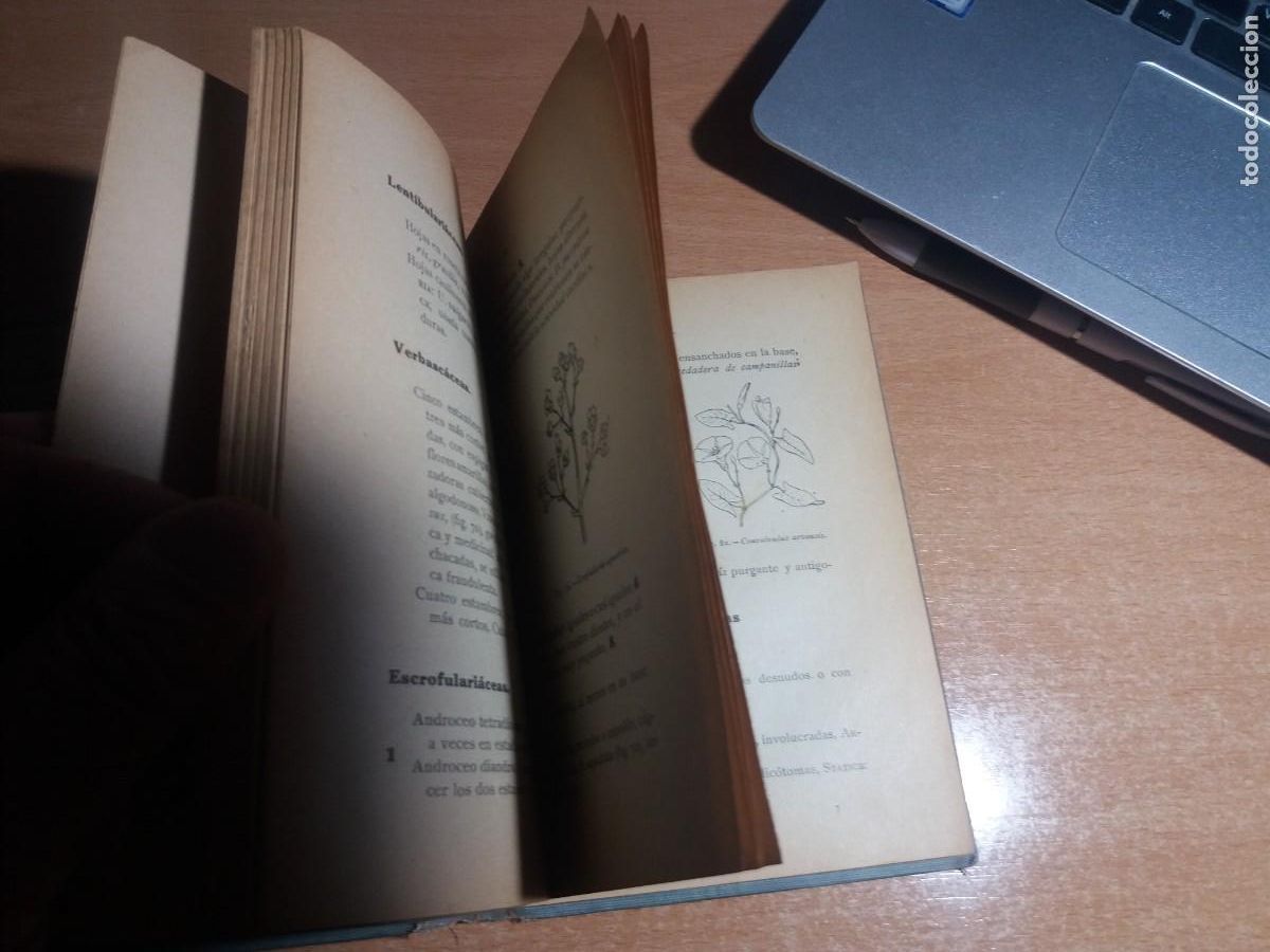 Libros de segunda mano: FLORA DE ESPA&Ntilde;A. CELSO AR&Eacute;VALO - Foto 8