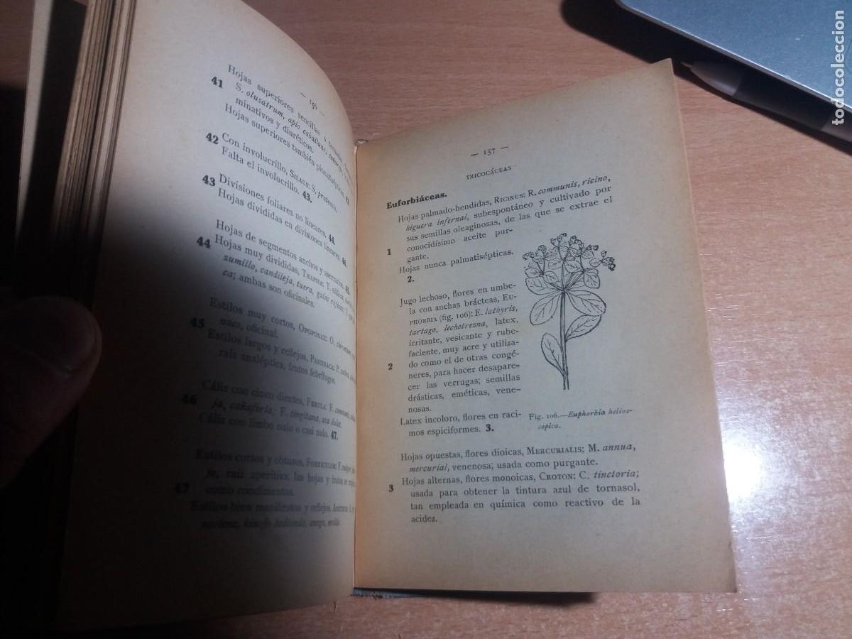 Libros de segunda mano: FLORA DE ESPA&Ntilde;A. CELSO AR&Eacute;VALO - Foto 9