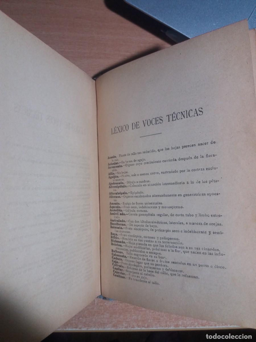 Libros de segunda mano: FLORA DE ESPA&Ntilde;A. CELSO AR&Eacute;VALO - Foto 12