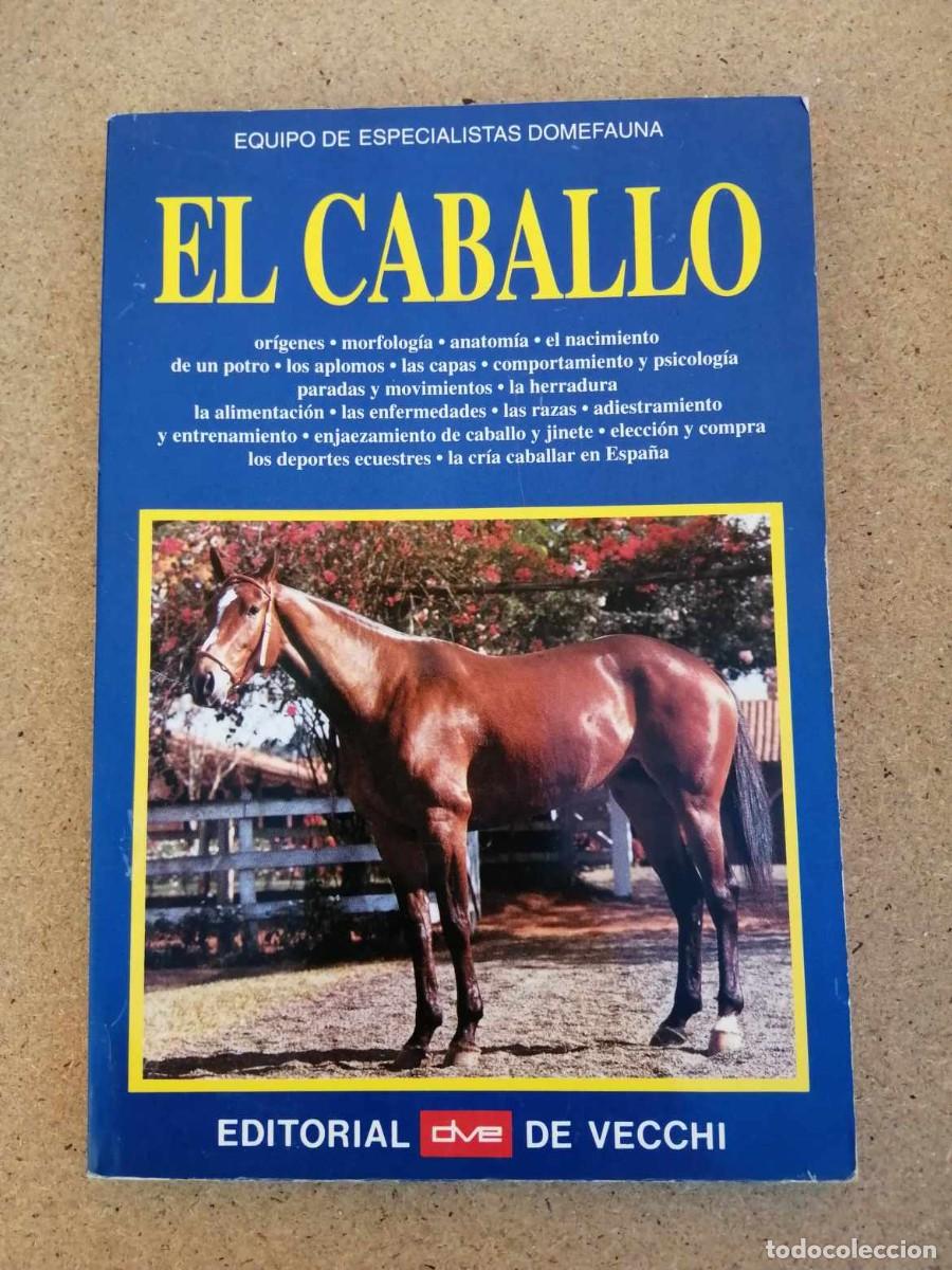 Libros de segunda mano: EL CABALLO (EDITORIAL DE VECCHI, EDITADO EN 1994) - Foto 1