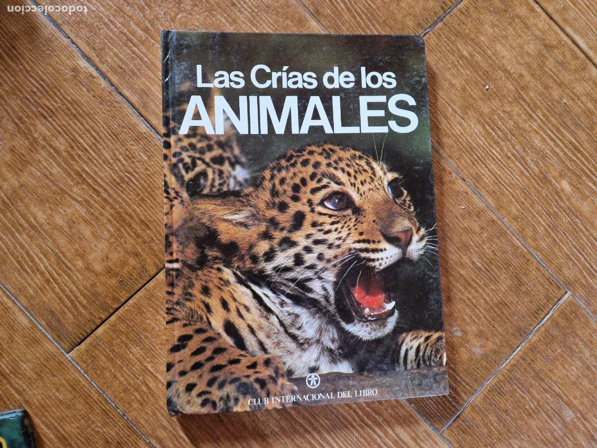 Libros de segunda mano: LAS CRIAS DE LOS ANIMALES - Foto 1