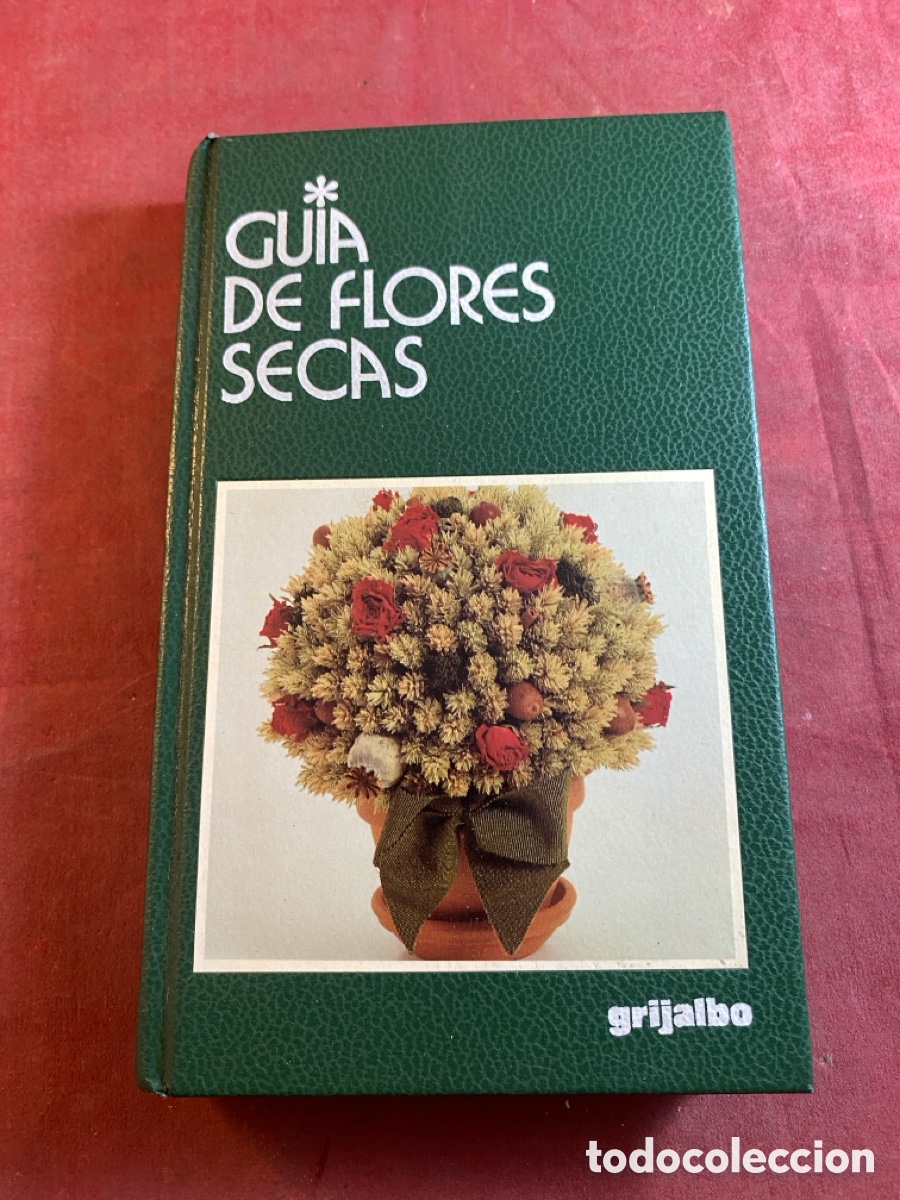 Libros de segunda mano: GU&Iacute;A DE FLORES SECAS - Foto 1