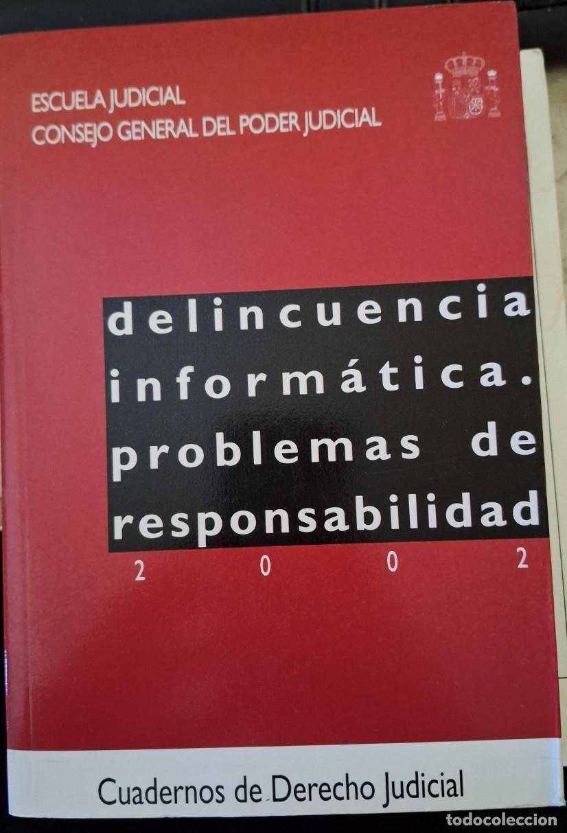 Libros de segunda mano de ciencias: DELINCUENCIA INFORMATICA. PROBLEMAS DE RESPONSABILIDAD. - - Foto 1