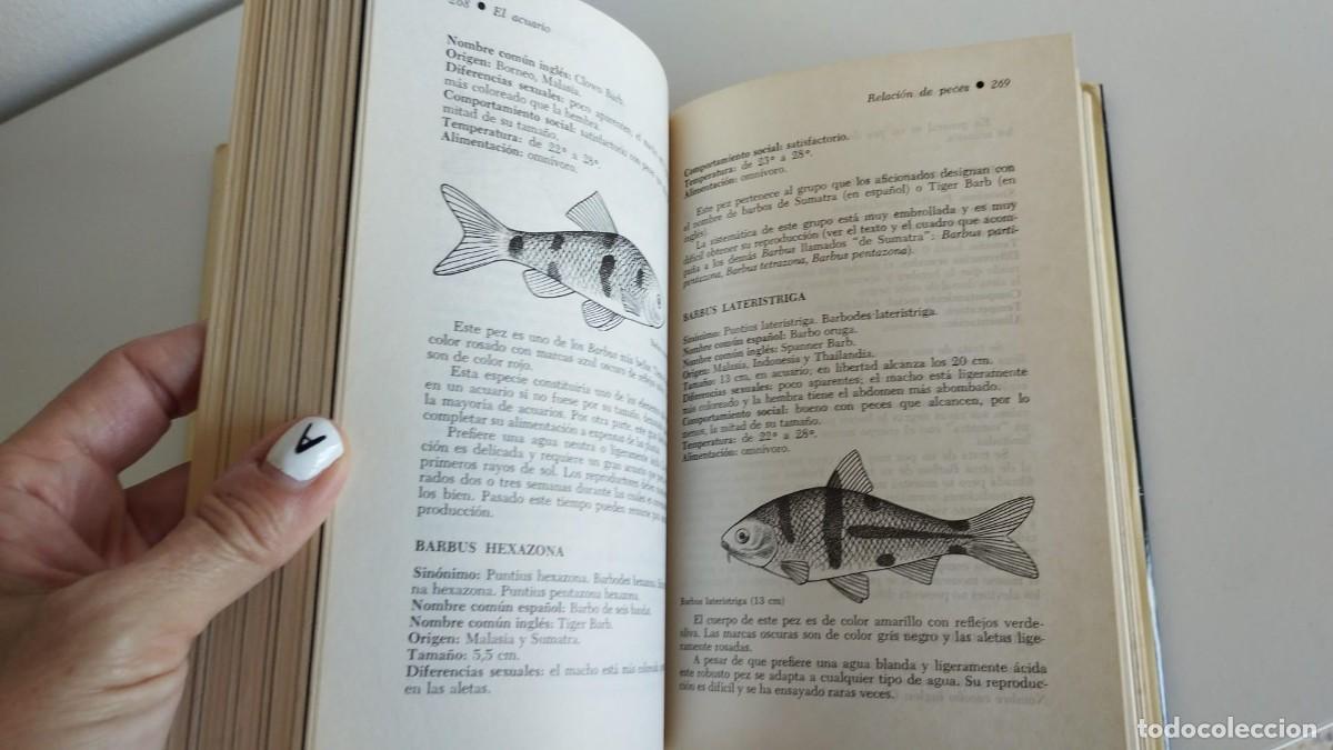 Libros de segunda mano: El acuario. Henri Favr&eacute;. Ediciones Daimon. 1970 - Foto 6