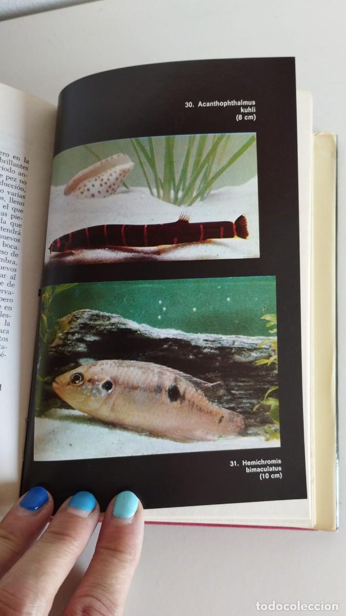 Libros de segunda mano: El acuario. Henri Favr&eacute;. Ediciones Daimon. 1970 - Foto 7