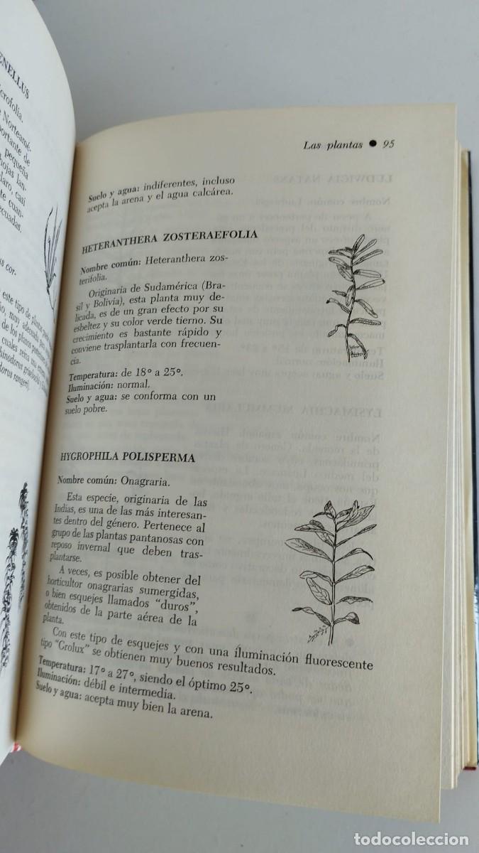 Libros de segunda mano: El acuario. Henri Favr&eacute;. Ediciones Daimon. 1970 - Foto 8