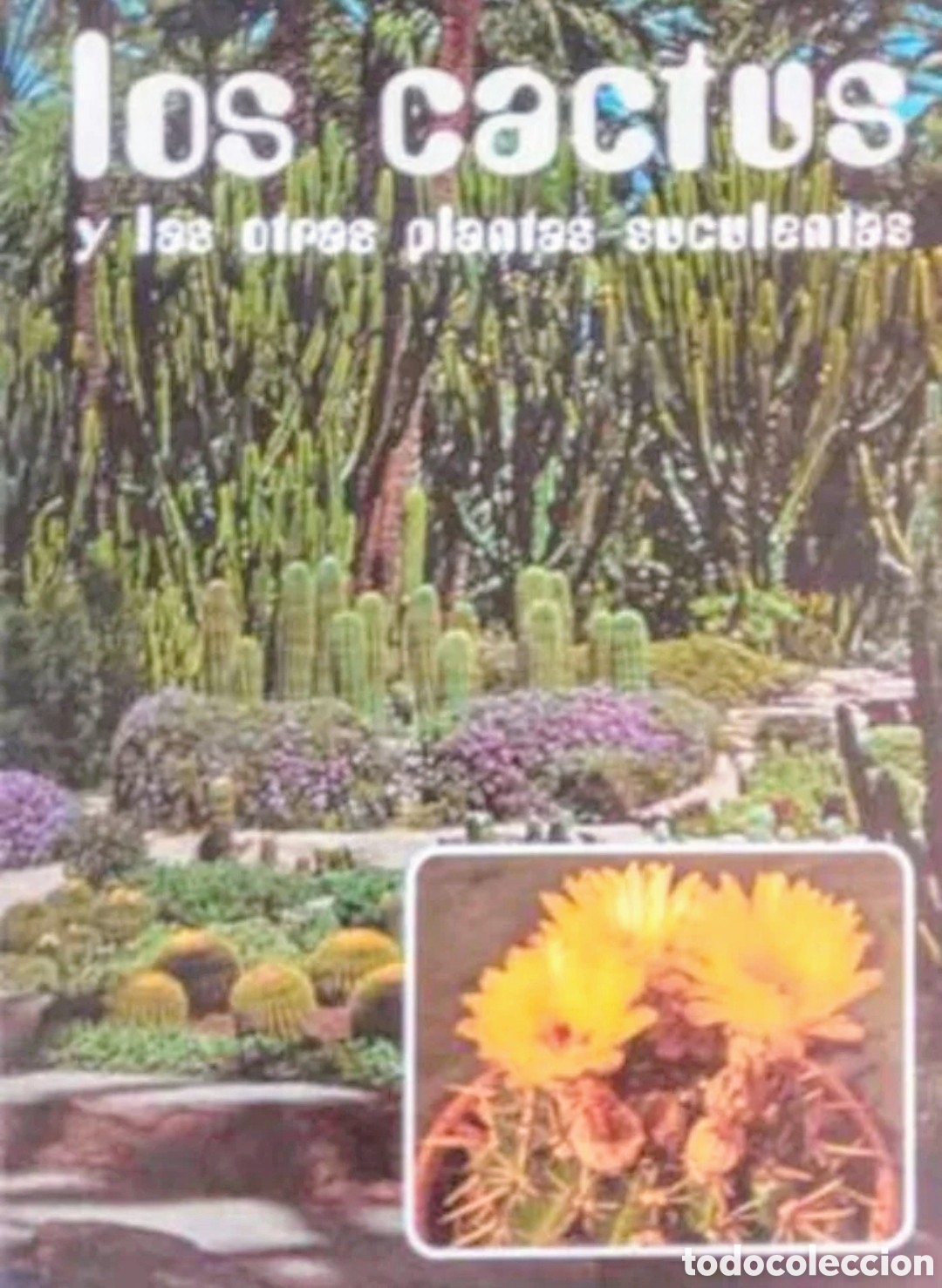 Libros de segunda mano: Los cactus y las otras plantas suculentas - Foto 1
