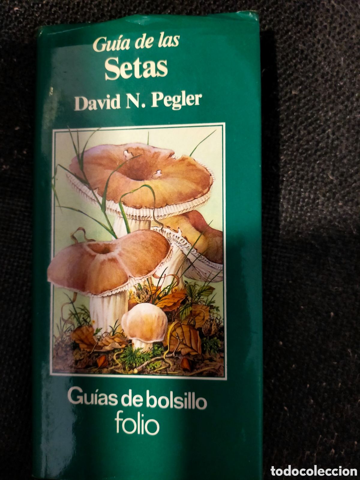 Libros de segunda mano: Guia de las setas David N. Pegler gu&iacute;as de bolsillo folio - Foto 1