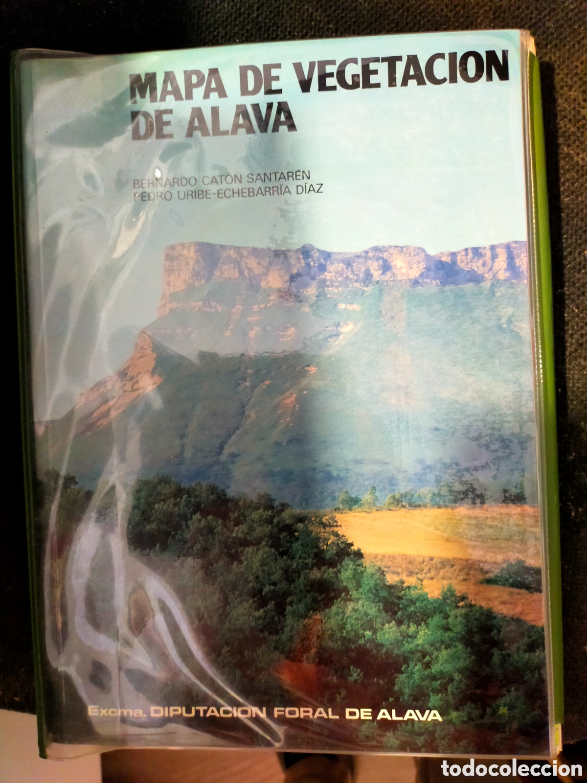 Libros de segunda mano: MAPA DE VEGETACI&Oacute;N DE ALAVA COMPLETO CON SUS MAPAS BUEN ESTADO - Foto 1