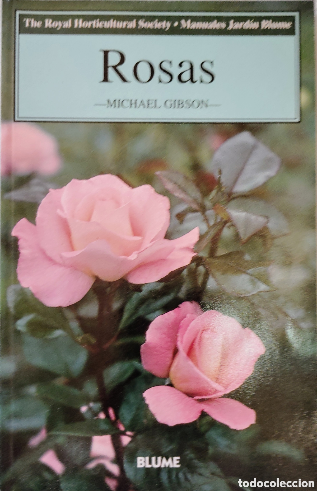 Libros de segunda mano: &rdquo;Rosas&rdquo; de Michael Gibson - Foto 1