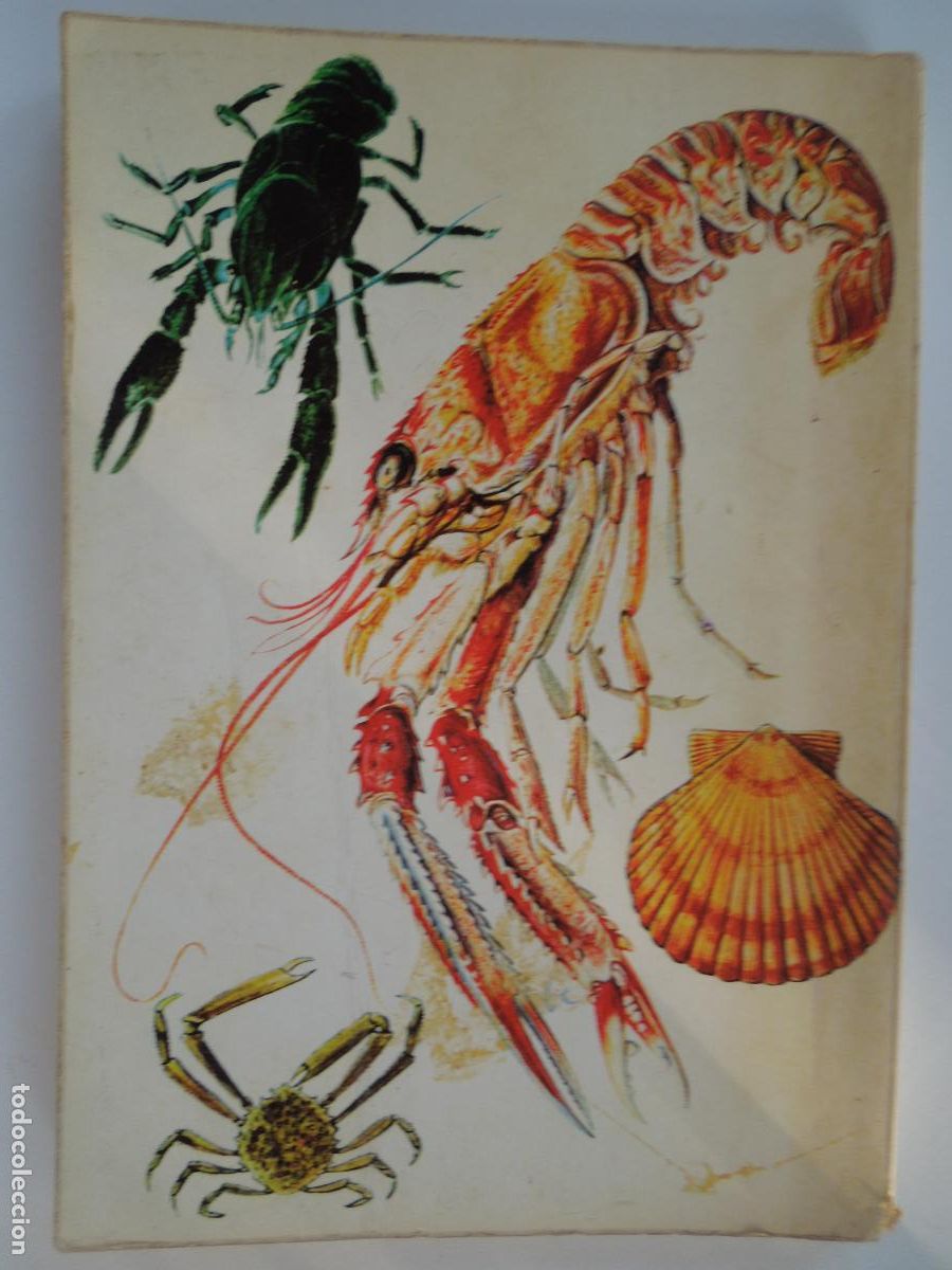 Libros de segunda mano: LOS MARISCOS - ROBERTO LOTINA BENGURIA - 1973. - Foto 2
