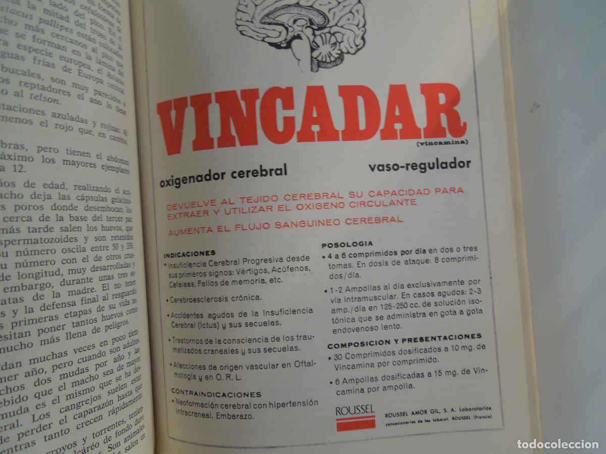 Libros de segunda mano: LOS MARISCOS - ROBERTO LOTINA BENGURIA - 1973. - Foto 8