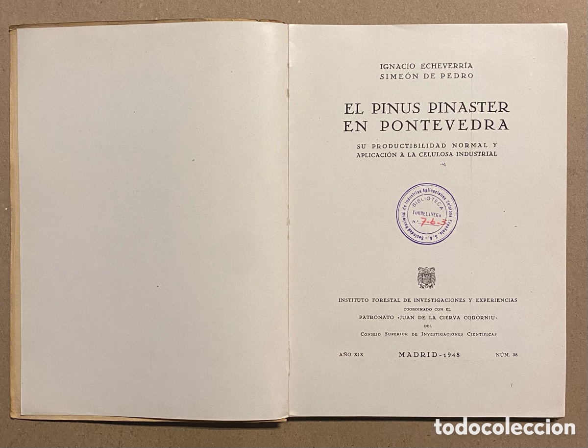 Libros de segunda mano: EL PINUS PINASTER EN PONTEVEDRA. IGNACIO ECHEBERRIA Y SIME&Oacute;N DE PEDRO. - Foto 2