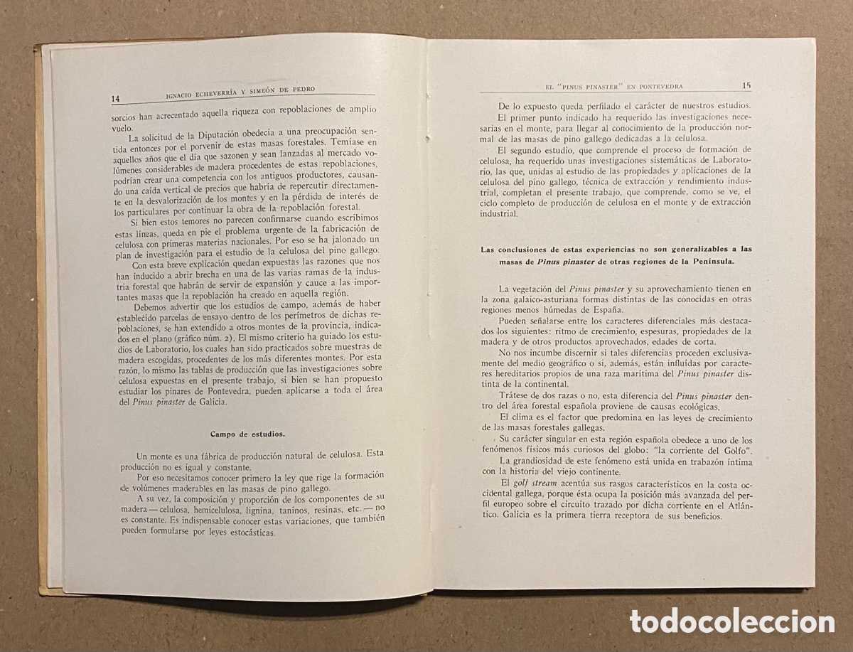 Libros de segunda mano: EL PINUS PINASTER EN PONTEVEDRA. IGNACIO ECHEBERRIA Y SIME&Oacute;N DE PEDRO. - Foto 4