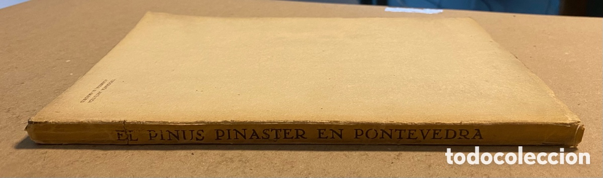 Libros de segunda mano: EL PINUS PINASTER EN PONTEVEDRA. IGNACIO ECHEBERRIA Y SIME&Oacute;N DE PEDRO. - Foto 10