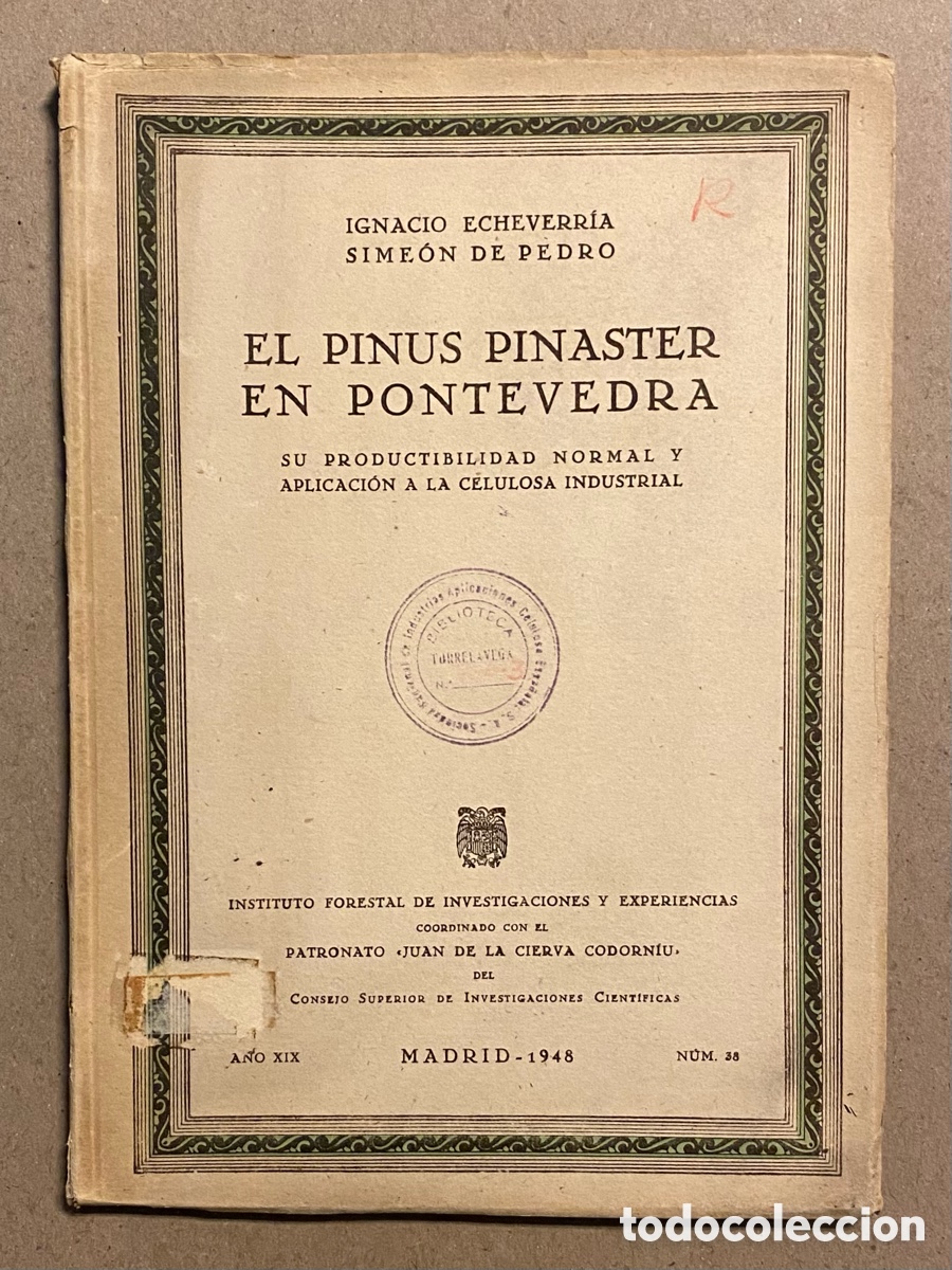 Libros de segunda mano: EL PINUS PINASTER EN PONTEVEDRA. IGNACIO ECHEBERRIA Y SIME&Oacute;N DE PEDRO. - Foto 1