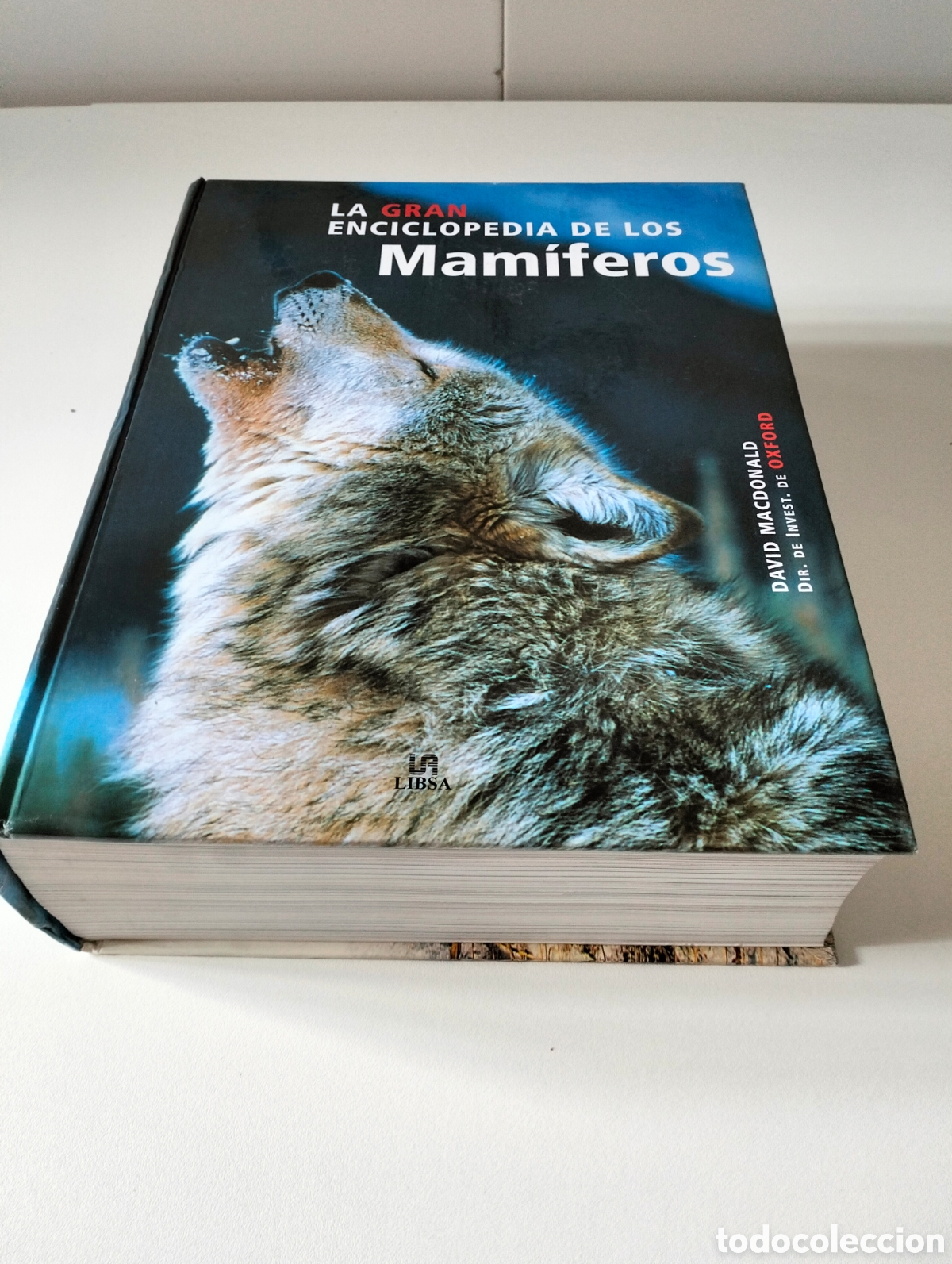 Libros de segunda mano: LA GRAN ENCICLOPEDIA DE LOS MAM&Iacute;FEROS. Macdonald, D. / Editorial LIBSA, 2006 - Foto 2