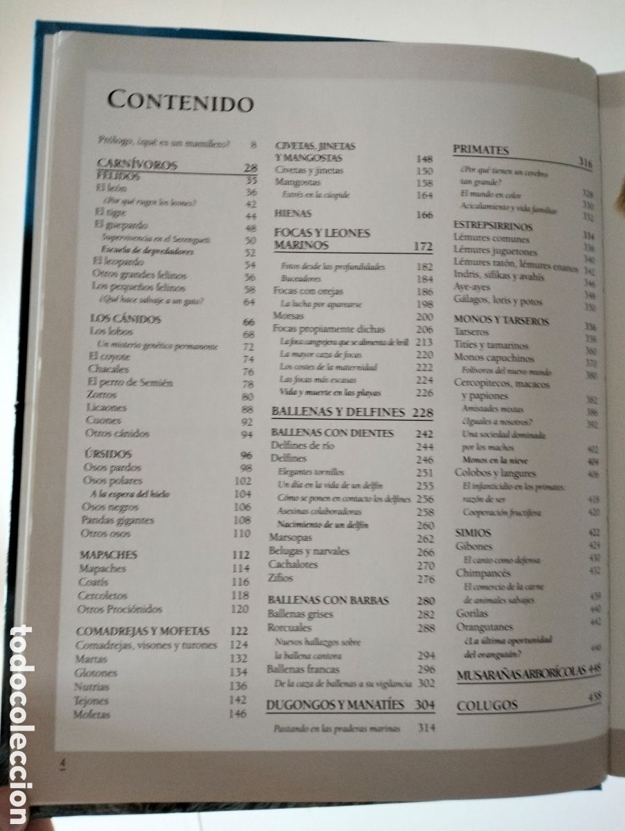 Libros de segunda mano: LA GRAN ENCICLOPEDIA DE LOS MAM&Iacute;FEROS. Macdonald, D. / Editorial LIBSA, 2006 - Foto 6