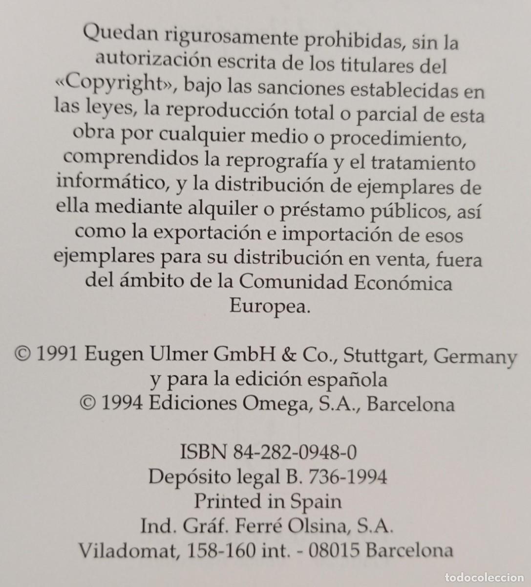Libros de segunda mano: EL LIBRO DEL BONSAI DE INTERIOR - WOLFGANG KAWOLLEK - Foto 2