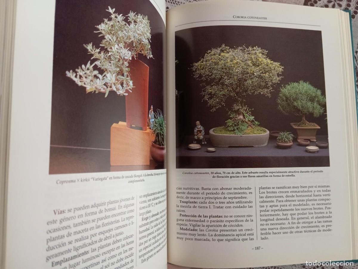 Libros de segunda mano: EL LIBRO DEL BONSAI DE INTERIOR - WOLFGANG KAWOLLEK - Foto 5