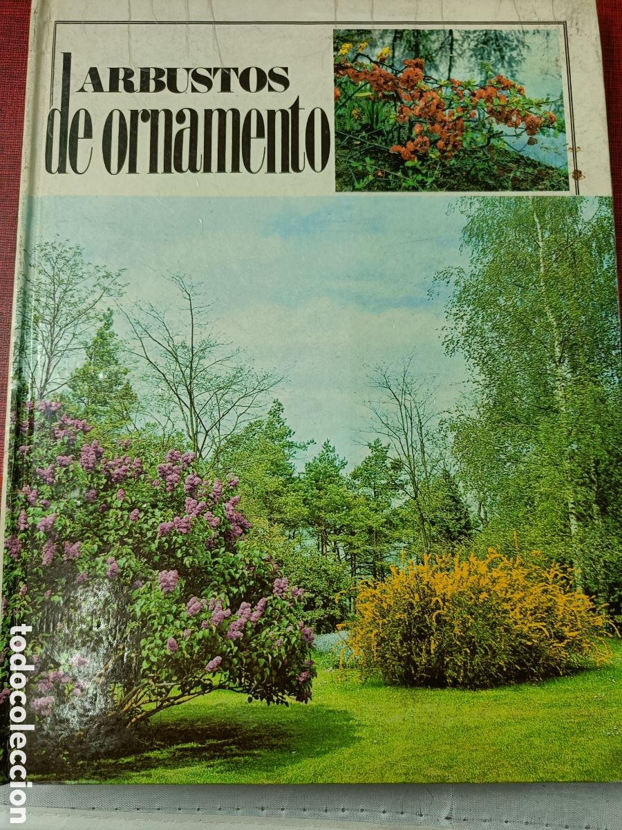 Libros de segunda mano: ARBUSTOS DE ORNAMENTO. FLORAPRINT - Foto 1