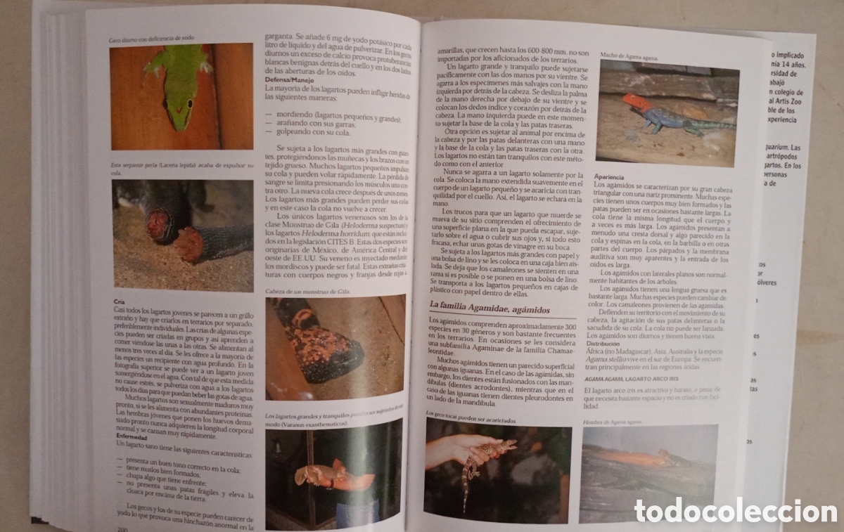 Libros de segunda mano: LA ENCICLOPEDIA DEL TERRARIO Eugene Bruins - Foto 7