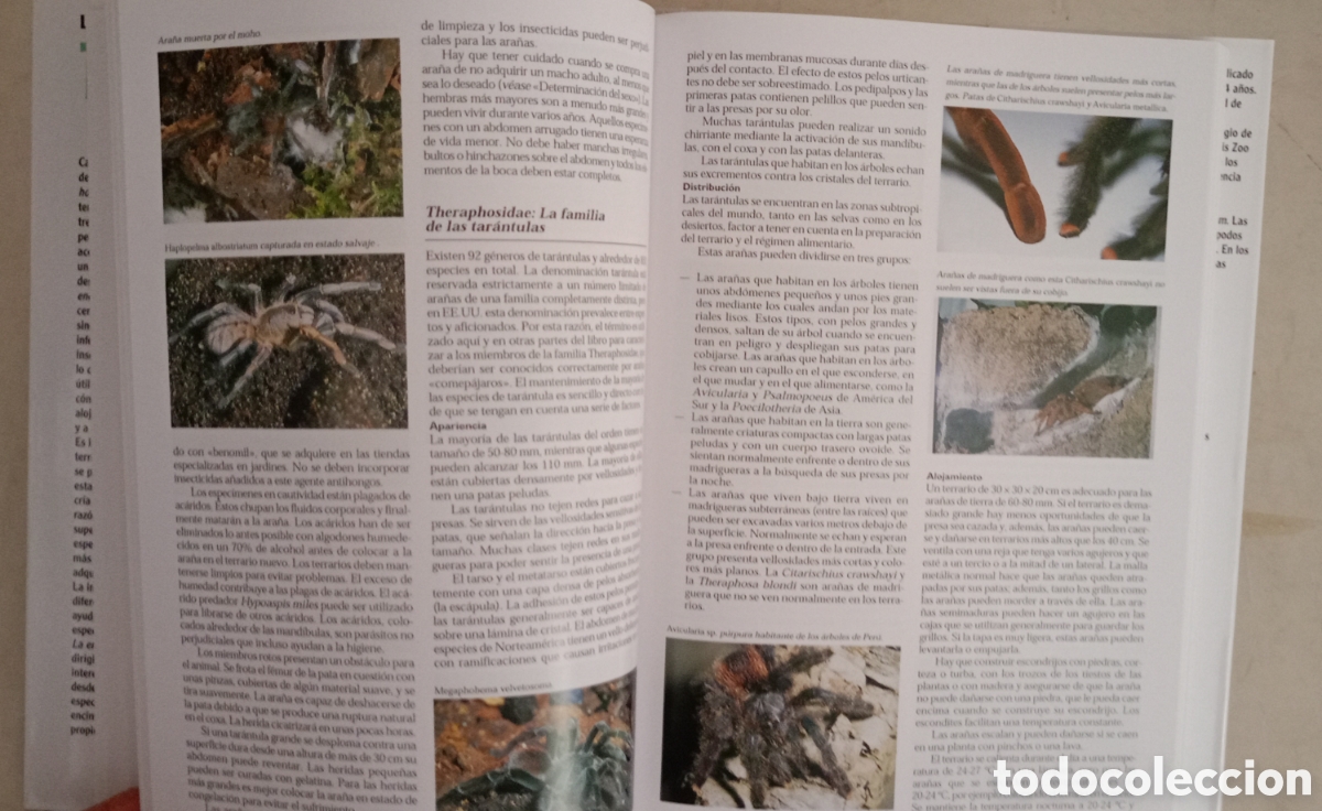 Libros de segunda mano: LA ENCICLOPEDIA DEL TERRARIO Eugene Bruins - Foto 9